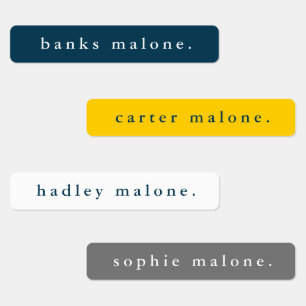 Etiquetas Nombre impermeable de los colores escolares simple