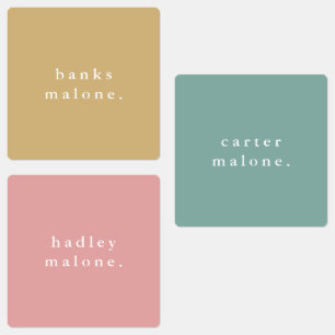 Etiquetas Nombre resistente al arcoiris del Boho simple