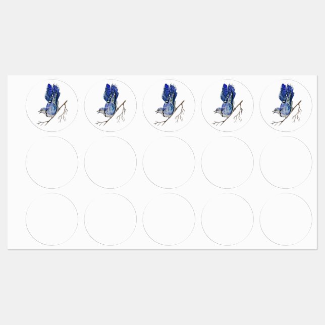 Etiquetas Pajarera azul acuarela (Hoja)