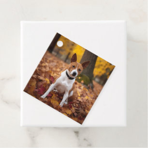 Etiquetas Para Recuerdos Basenji en otoño se inspira la caída de las hojas