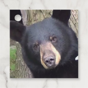 Etiquetas Para Recuerdos Bello oso negro