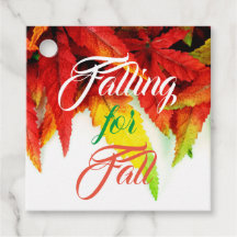 Caer en el otoño deja el arce japonés elegante roj