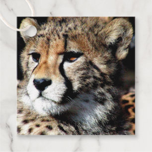 Etiquetas Para Recuerdos Cheetah