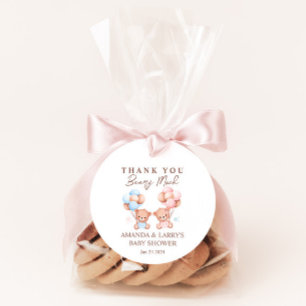 Etiquetas Para Recuerdos Chicos Chicas Gemelos Oso de Peluche Baby Shower