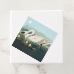 Etiquetas Para Recuerdos cisnes de agua blanca de cisne audubon