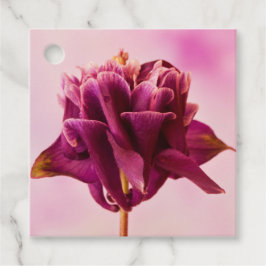 Etiquetas Para Recuerdos Columbina rosa de Borgoña