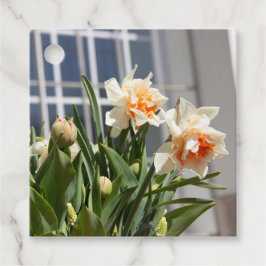 Etiquetas Para Recuerdos Delicada primavera de daffodils tiernos