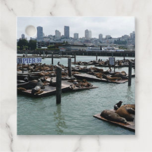 Etiquetas Para Recuerdos Esquina de San Francisco y Pier 39 Sea Lions City