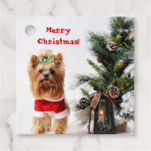 Feliz Navidad Santa Yorkie con árbol de Navidad