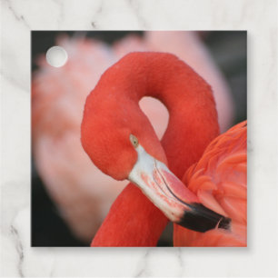 Etiquetas Para Recuerdos Flamingo 001