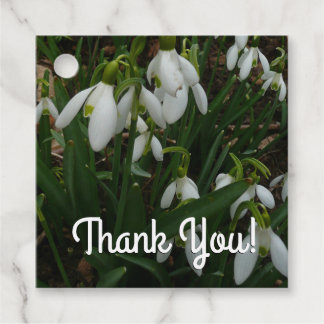 Etiquetas Para Recuerdos Flores de Primavera Blanca (Galanthus)