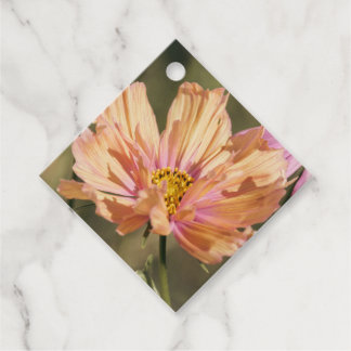 Etiquetas Para Recuerdos Flores Retro de Verano Cosmea