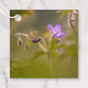 Etiquetas Para Recuerdos Foto de la naturaleza de las flores