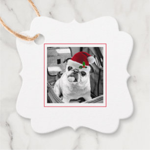 Etiquetas Para Recuerdos Foto de Mascota familiar Santa Hat Feliz Navidad