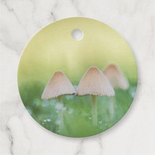 Etiquetas Para Recuerdos Foto de Mushrooms Nature