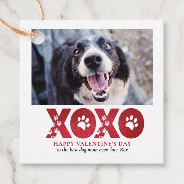 Etiquetas Para Recuerdos Foto de perro Mascota día de San Valentín XOXO (Anverso)