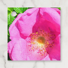 Etiquetas Para Recuerdos Foto de Rosa Rosa Salvaje en Lord Bible Verse