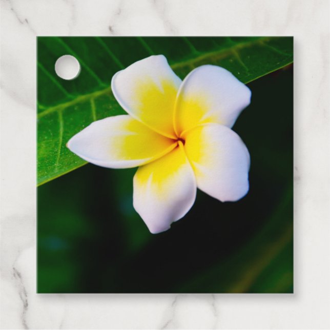 Etiquetas Para Recuerdos Fotografía de Flor de Plumeria (Anverso)
