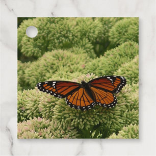 Etiquetas Para Recuerdos Fotografía de la hermosa naturaleza de la mariposa