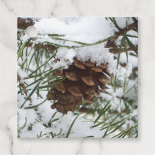 Etiquetas Para Recuerdos Fotografía de la naturaleza de la nieve de Pine Co