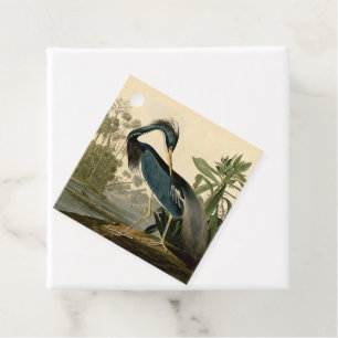 Etiquetas Para Recuerdos Garzas de Louisiana de Audubon Pájaros América Art