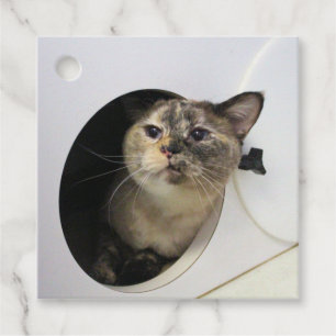 Etiquetas Para Recuerdos Gato