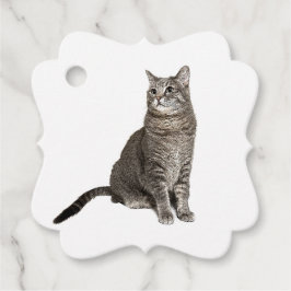 Etiquetas Para Recuerdos Gato Abisinio