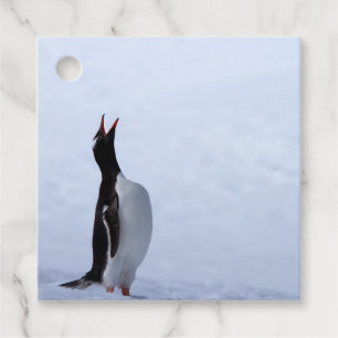 Etiquetas Para Recuerdos Gentoo penguin