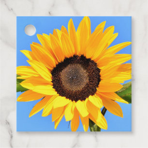 Etiquetas Para Recuerdos Girasol amarillo contra el sol en el cielo azul - 