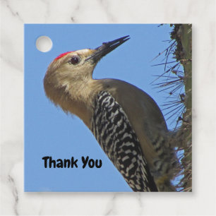Etiquetas Para Recuerdos Gracias Gila Woodpecker Photo Bird Apreciación