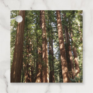 Etiquetas Para Recuerdos Hasta Redwoods II en el Monumento Nacional Muir Wo