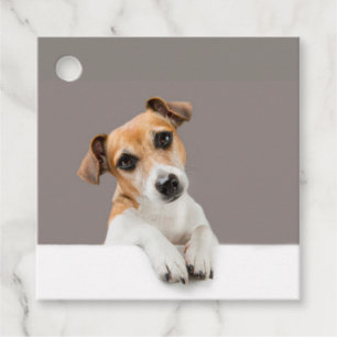 Etiquetas Para Recuerdos Jack Russell Puppy Sweet Adorable Baby Jack