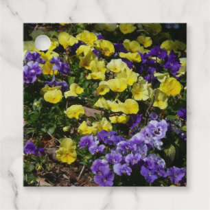 Etiquetas Para Recuerdos La ladera de los Pansies morado y amarillo