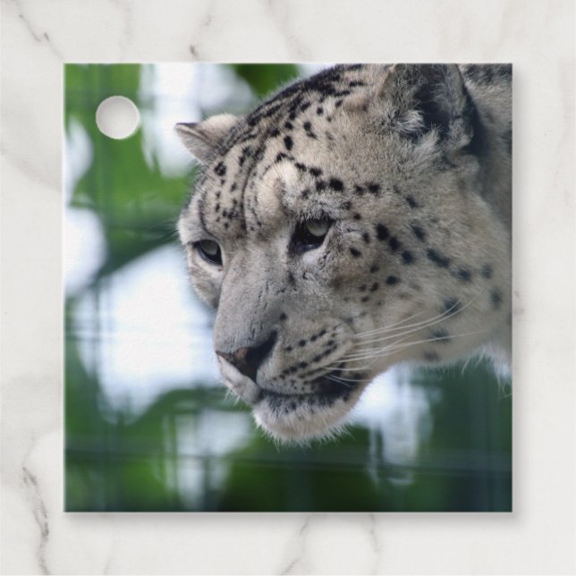 Etiquetas Para Recuerdos Leopard 003 (Anverso)