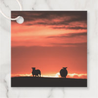 Lofoten Islands Sunset Sheep Nature Foto