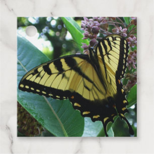 Etiquetas Para Recuerdos Mariposa de cola torta I en Milkweed en Shenandoah