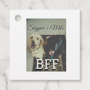Etiquetas Para Recuerdos Mascotas amigos bestias agregar nombre mascota fot