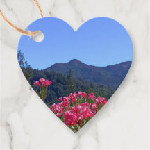 Mt Tamalpais con flores rosas