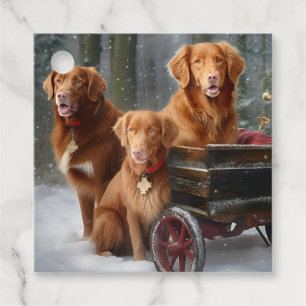 Etiquetas Para Recuerdos Nova Scotia Duck Toller Retriever Trineo Nevado