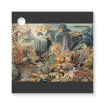 Ocean World, Under the Sea, Nautical