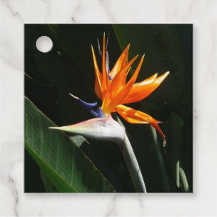 Etiquetas Para Recuerdos Pájaro del Naranja del paraíso Flor tropical