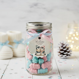 Etiquetas Para Recuerdos Penguin Winter Twins Baby Shower Boy Girl