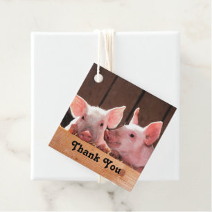 Etiquetas Para Recuerdos Pequeños lechones rosados Fotografía animal Gracia