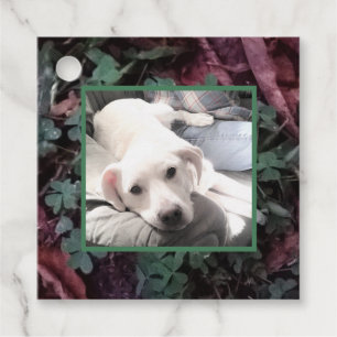 Etiquetas Para Recuerdos Perro blanco lindo cansado sentado con papá en el 