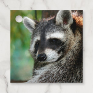 Etiquetas Para Recuerdos Raccoon 001