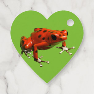 Etiquetas Para Recuerdos Rana Dart de veneno rojo