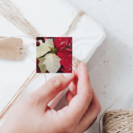 Etiquetas Para Recuerdos Red and White Variegate Poinsettia Holiday