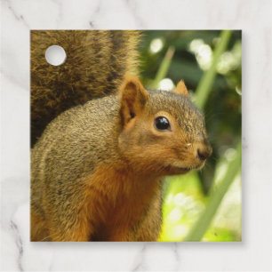Etiquetas Para Recuerdos Retrato de una fotografía animal de la naturaleza