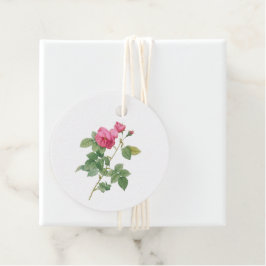 Etiquetas Para Recuerdos Rosa Botánica Vintage Rosa