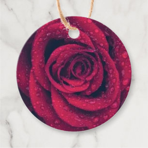 Etiquetas Para Recuerdos Rosa rojo acuoso